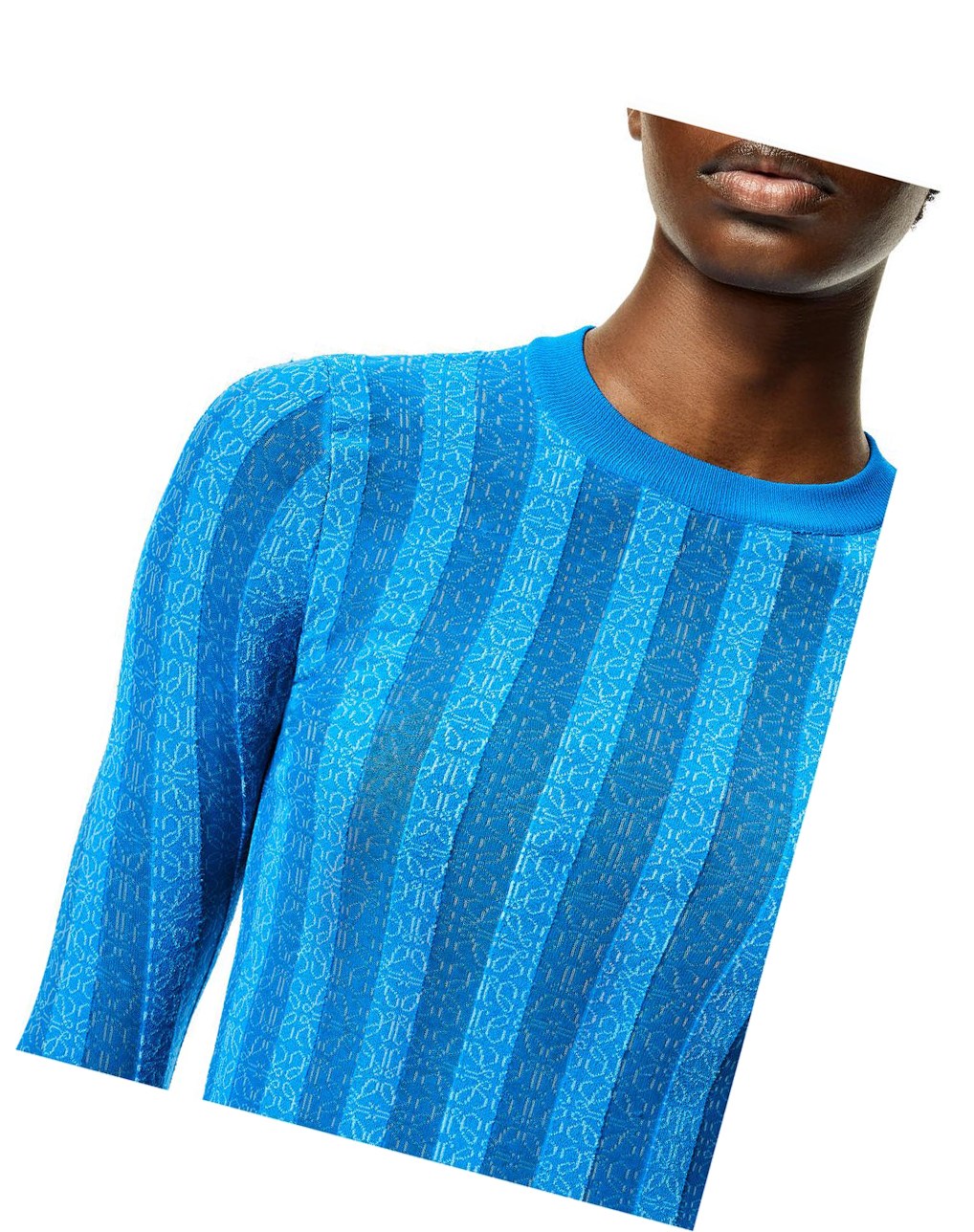 Loewe Anagram devore sweater in viscose Light Blue | EB1065327