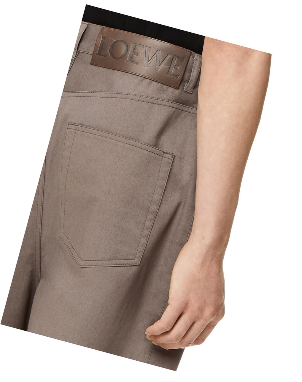 Loewe Single pleat trousers in cotton Iron | TN7685943