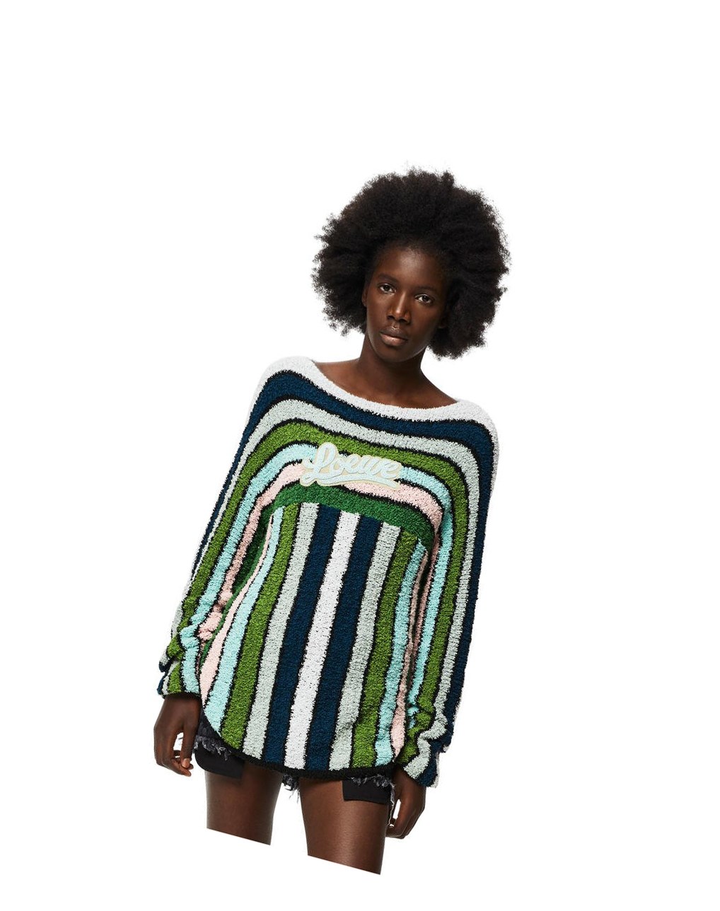 Loewe Stripe embroidered sweater in cotton Green Multitone | JI4136805