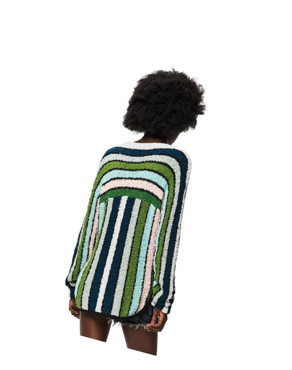 Loewe Stripe embroidered sweater in cotton Green Multitone | JI4136805